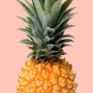 Meet your Posher, Amyaih